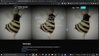import maya script