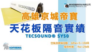 ◤高雄京城帝寶私人住宅-TECSOUND SY50天花板隔音|普渼登實業實績案例影片分享-◢