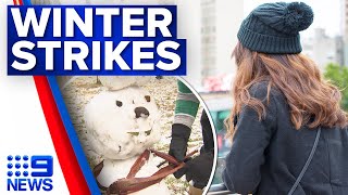 Winter has well and truly arrived as Melbourne has its coldest day of the year | 9 News Australia