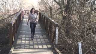 Visit the Cosumnes River Preserve