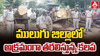 ములుగు జిల్లాలో అక్రమంగా తరలిస్తున్న కలప | Illegal timber being transported in Mulugu district