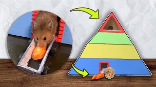 Pyramid Obstacle Course, Hamster Escape From Pyramid - Hamster Maze DIY