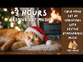 3 HOURS Festive Cat Music Relax Your Cat with Atmospheric Festive Warm Music for Relaxing Sleeping