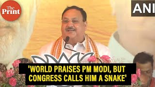 'The world praises PM Modi, but congress calls him a snake, an illiterate, 'Chaiwala''- JP Nadda