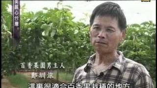 寶島好水果 台灣農業亮起來