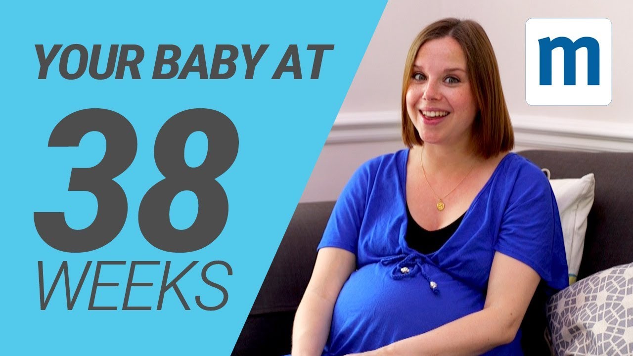 Your Baby At 38 Weeks | Pregnancy Week By Week - YouTube