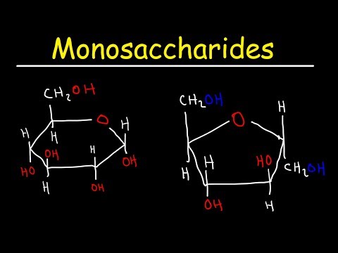 What is the common name for monosaccharides?