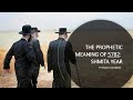 The Upcoming Shmita Year 5782 (extended version)