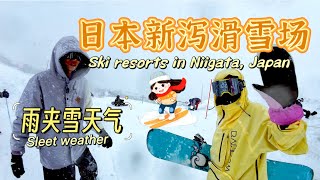 週末和朋友們的滑雪🏂🏻｜新潟滑雪場｜雨夾雪｜晚上偷偷和朋友聚餐｜快樂週末｜日本滑雪旅遊｜冬季必去景點｜滑雪新手挑戰#新潟滑雪場 #日本滑雪 #冬季旅遊 #滑雪日常 #滑雪新手 #快樂聚會