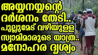 അയ്യനയ്യന്റെ ദർശനം തേടി.. പുല്ലുമേട് വഴിയുള്ള സ്വാമിമാരുടെ യാത്ര.. മനോഹര ദൃശ്യം