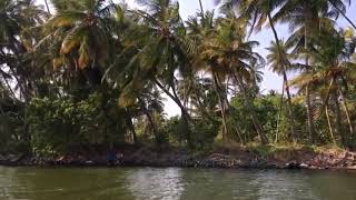 Backwater in Pondicherry