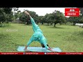 yoga poses for pitta dosha పిత్త దోషానికి యోగా భంగిమలు samayam telugu