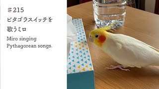 ♯215　ピタゴラスイッチを歌うミロ｜Miro singing Pythagorean songs.