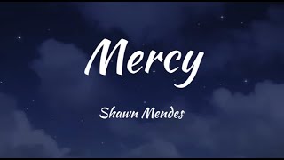 Mercy Shawn Mendes Lyrics