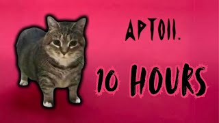 APTOII 10 HOURS