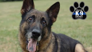 Aftermath Services K9 Grant - 2017 Winner