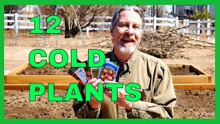 What to Plant Before the Last Frost Date