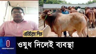 অসুস্থ গরুর মাংস খেলে শরীরে দেখা দিতে পারে জটিল রোগ || Qurbani Haat