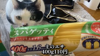 【Vlog】猫の食事は試行錯誤の連続。主のエサはいつも激安。