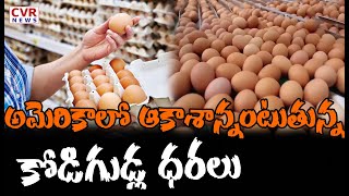 అమెరికాలో విపరీతంగా పెరిగిన గుడ్ల ధరలు | Increasing Egg prices In America | CVR News