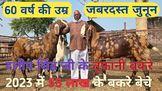 ताऊ जी के तूफानी बकरे II 60 वर्ष की उम्र में बकरी पालन II लाखों की कमाई II @AnimalLover-2025