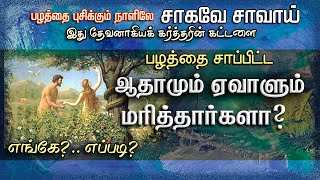 பழத்தைசாப்பிட்ட ஆதாமும் ஏவாளும் மரித்தார்களா எங்கே? எப்படி?