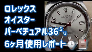 【時計】ロレックスオイスターパーペチュアル36㍉、6ヶ月使用レポート