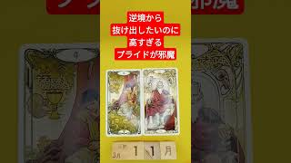 おみくじ的タロット占い「逆境から抜け出したいのに、高すぎるプライドが邪魔をしてくる」