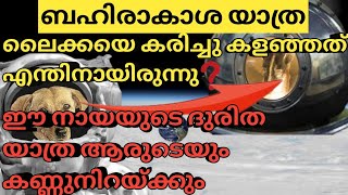 🛰️🚀ബഹിരാകാശത്ത് എത്തിയ ആദ്യ ജീവനുള്ള വസ്തു ലൈക്ക| Sad Story Of Laika,  #shahanasclassroom