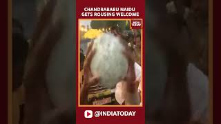 Watch | Former Andhra Pradesh CM Chandrababu Naidu Reaches Home In Vijayawada After Interim Bail