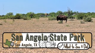 San Angelo State Park in San Angelo, Texas | What to See and Do