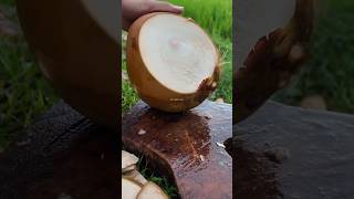 Fantastic peeling coconuts #cuttingskills #coconut #coconutfruit