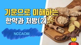 기운으로 이해하는 한약과 처방 (2)