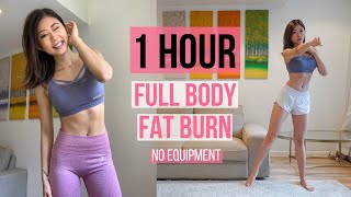 1 HOUR FULL BODY FAT BURN HOME WORKOUT (Warm Up, Arm & Back, Cardio, Ab, Leg & Thigh, Stretch) ~ Emi