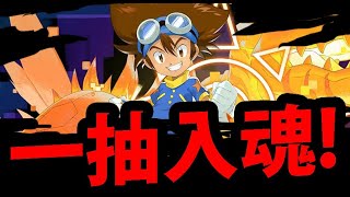 🔴【神魔之塔】數碼寶貝合作🔥『一抽入魂來啦！』免費大獎送給你！FB粉專參加活動！《數碼暴龍》【八神太一與亞古獸】【高石武與巴達獸與八神嘉兒與迪路獸】【石田大和與加布獸】【阿紅實況】