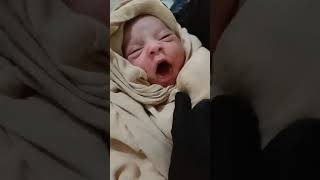 Just a day old baby.মাত্র একদিনের বেবী। Safia siddiqa