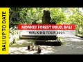 Monkey Forest Ubud, Bali - Walking Tour 2021