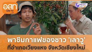 พาชิมกาแฟของชาว 'เลาวู' ที่อำเภอเวียงแหง จังหวัดเชียงใหม่ (26 พ.ย. 66) | อ.ส.ท. on TV