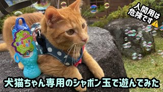 人間用は危険？！犬猫ちゃん専用のシャボン玉で遊んでみた