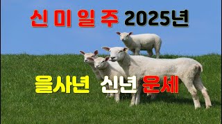 '신미일주'  2025년 을사년 신년운세 사주분석