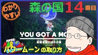 マリオオデッセイ森の国 14番目のパワームーンの取り方