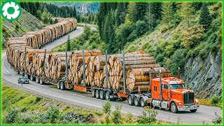 98 Extreme Dangerous Big Logging Wood Truck Driving Skill | Biggest Heavy Machinery Machines