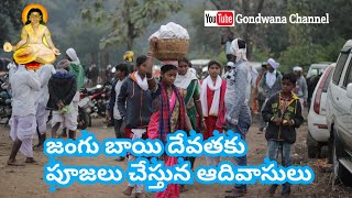 Jangubai Caves  జంగుబాయి దేవతకు పూజలు చేస్తున భక్తులు |Jai jangu Jai Lingu| Gondwana Channel