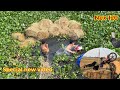 Now The Truck Carrying Straw Fell Into The River And It's Really Funny Nex 120  Special New Video