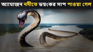 অ্যামাজন নদীতে ভয়ংকর সাপ পাওয়া গেল | Mysteries of World's Biggest Snake Titanoboa