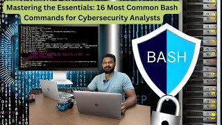 Mastering the Essentials: 16 Most Common Bash Commands for Cybersecurity Analysts