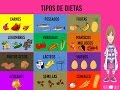 5. Tipos de Dietas