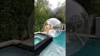 Hamster Ball Challenge Gone Wrong...