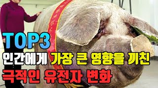 인간에게 가장 큰 영향을 끼친 극적인 유전자 변화 TOP3