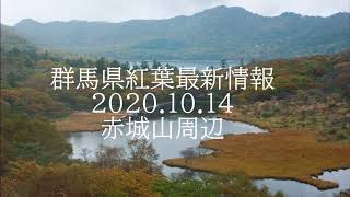 群馬県紅葉最新情報2020.10.14赤城山周辺